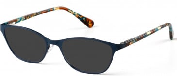 Radley RDO-AUGUST Sunglasses in Matt Teal