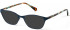 Radley RDO-AUGUST Sunglasses in Matt Teal