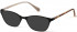 Radley RDO-AUGUST Sunglasses in Matt Black