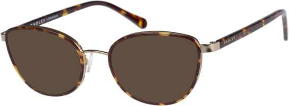 Radley RDO-BERNARDINE sunglasses in Tortoise Gold