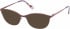 Radley RDO-CAMYLE sunglasses in Purple