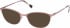 Radley RDO-CAMYLE sunglasses in Gold Pink