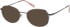 Radley RDO-CAROLYNE sunglasses in Brown Black