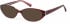 Radley RDO-EVELYN sunglasses in Matt Burgundy