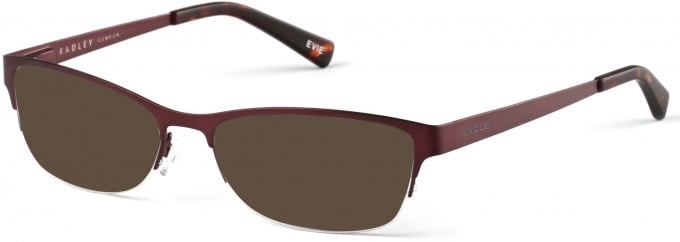 Radley RDO-EVIE Sunglasses in Matt Purple