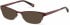 Radley RDO-EVIE Sunglasses in Matt Purple