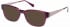 Radley RDO-FAE Sunglasses in Gloss Purple Horn