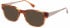 Radley RDO-FAE Sunglasses in Gloss Horn