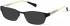 Radley RDO-HARRIET Sunglasses in Matt Purple