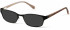Radley RDO-HARRIET Sunglasses in Matt Black