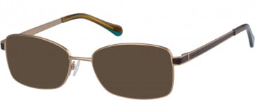 Radley RDO-JAENA sunglasses in Bronze Brown