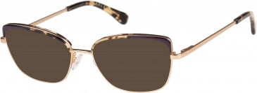 Radley RDO-KARYN sunglasses in Purple Gold