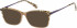 Radley RDO-KEZIA sunglasses in Brown Crystal
