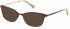 Radley RDO-KIRSTEN Sunglasses in Matt Painted Brown