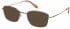 Radley RDO-LAILA Sunglasses in Shiny Gold