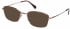 Radley RDO-LAILA Sunglasses in Shiny Bronze