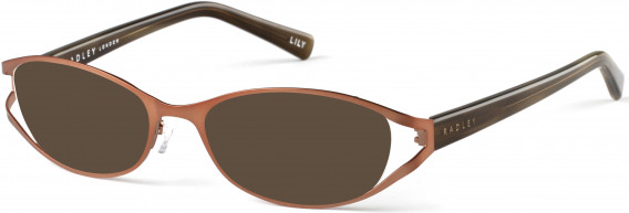 Radley RDO-LILY sunglasses in Bronze
