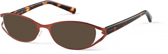 Radley RDO-LILY sunglasses in Rose