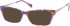Radley RDO-LOURDES sunglasses in Purple