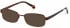 Radley RDO-POPPY Sunglasses in Matt Burgundy