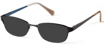 Radley RDO-SARA Sunglasses in Matt Purple