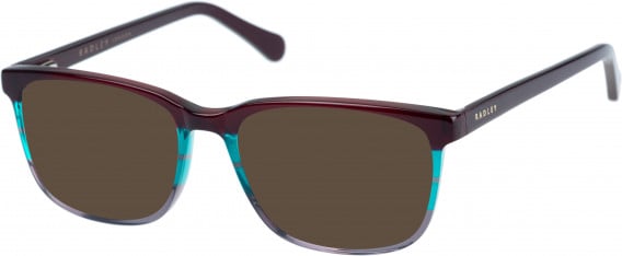 Radley RDO-VERITY sunglasses in Burgundy Teal