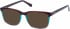 Radley RDO-VERITY sunglasses in Burgundy Teal