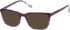 Radley RDO-VERITY sunglasses in Red Floral