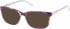 Radley RDO-VERITY sunglasses in Purple Gold