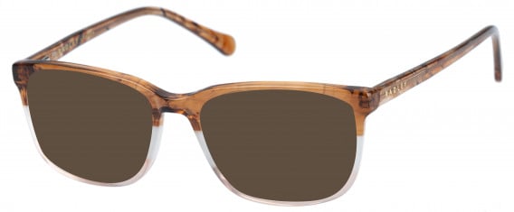 Radley RDO-VERITY sunglasses in Tan Grey