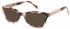 Radley RDO-ZARA Sunglasses in Gloss Pink Tortoiseshell