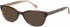Radley RDO-ZARA Sunglasses in Gloss Tortoiseshell