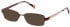 Radley RDO-ZOEY sunglasses in M Burgundy Floral
