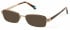 Radley RDO-ZOEY Sunglasses in Matt Gold