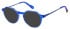 Superdry SDO-2003 glasses in Blue
