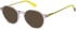 Superdry SDO-2003 glasses in Grey