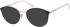 Superdry SDO-2008 sunglasses in Black Gold