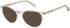 Superdry SDO-3029 sunglasses in Green