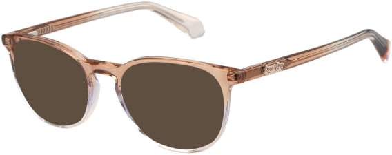 Superdry SDO-3029 sunglasses in Brown