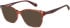 Superdry SDO-3030 sunglasses in Red