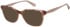 Superdry SDO-3030 sunglasses in Pink