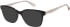 Superdry SDO-3030 sunglasses in Black