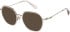 Superdry SDO-3032 sunglasses in Clear