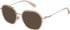 Superdry SDO-3032 sunglasses in Pink