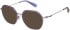 Superdry SDO-3032 sunglasses in Blue