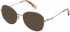 Superdry SDO-3033 sunglasses in Silver