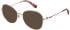 Superdry SDO-3033 sunglasses in Purple