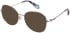 Superdry SDO-3033 sunglasses in Pink