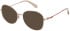 Superdry SDO-3033 sunglasses in Gold