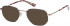 Superdry SDO-HARLON sunglasses in Black Gold